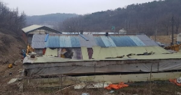 충청남도 홍성군 은하면 장척리 OOOO 동물 및 식물 관련시설 경매 물건 이미지