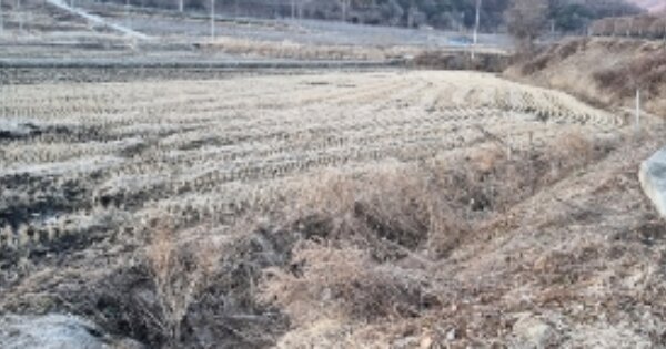 전라북도 장수군 장수읍 대성리 OOOO 답 경매 물건 이미지