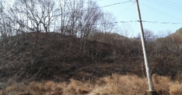 전북특별자치도 무주군 무주읍 오산리 OOO 임야 경매 물건 이미지
