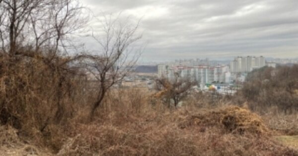 경상남도 진주시 문산읍 삼곡리 OOO O OOO 전 경매 물건 이미지