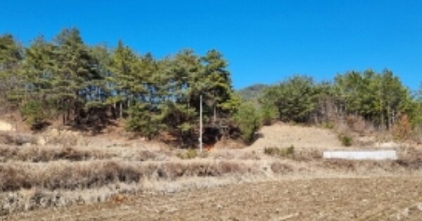 전북특별자치도 남원시 주천면 덕치리 OOOOO 임야 경매 물건 이미지