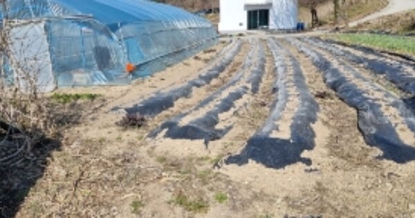 전북특별자치도 순창군 쌍치면 용전리 OOOO 전 경매 물건 이미지