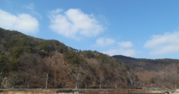전북특별자치도 완주군 화산면 종리 OOOOO 임야 경매 물건 이미지