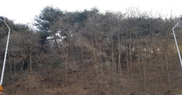 강원특별자치도 춘천시 동면 지내리 OOO 임야 경매 물건 이미지
