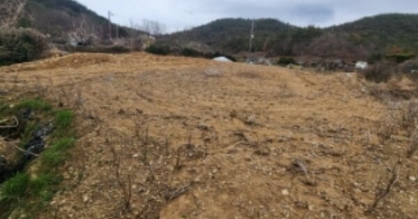 전라남도 순천시 별량면 학산리 OOOOO 전 경매 물건 이미지