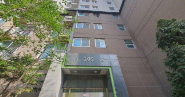 경기 성남시 중원구 여수동 602, 205동 OOOOOO OOOOOOOOOO 아파트 경매 물건 이미지
