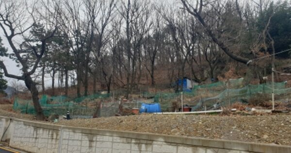 부산광역시 사상구 학장동 OOO 임야 경매 물건 이미지