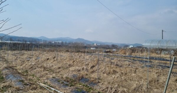 충청남도 천안시 동남구 성남면 대화리 OOOOO 전 경매 물건 이미지