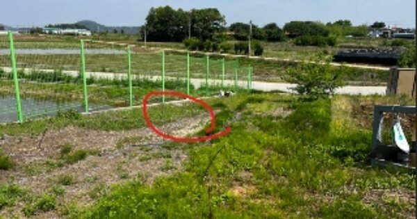충청남도 아산시 영인면 창용리 OOOOO 전 경매 물건 이미지