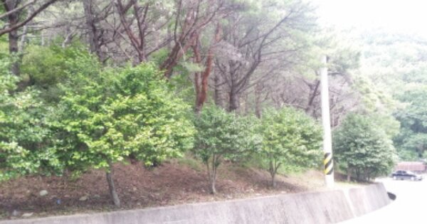 경상남도 거제시 옥포동 OOOOO O OOO 임야 경매 물건 이미지