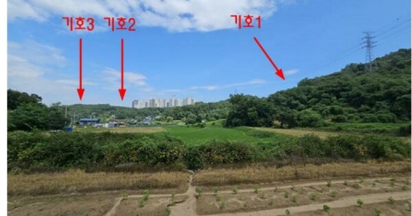 경기도 평택시 진위면 고현리 OOOOO O OOO 임야 경매 물건 이미지