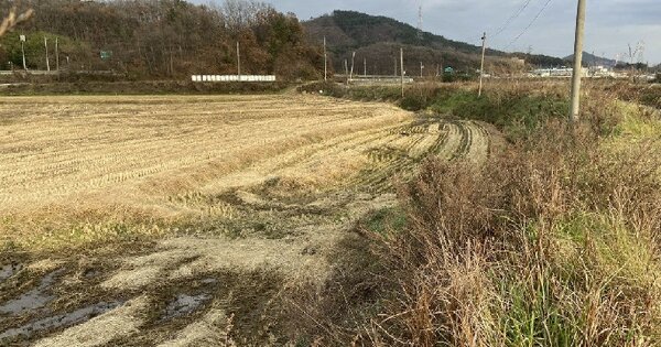 충청남도 서산시 성연면 명천리 OOO 답 경매 물건 이미지