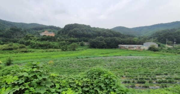 충청남도 천안시 동남구 동면 행암리 OOO O OOO 답 경매 물건 이미지