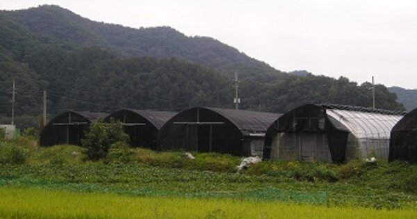 충청남도 청양군 대치면 주정리 OOOOO 답 경매 물건 이미지