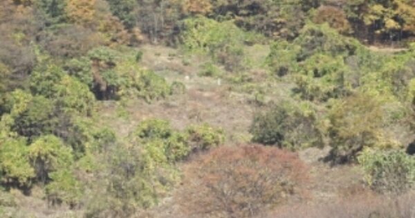 경상남도 밀양시 단장면 구천리 OOOOOO 전 경매 물건 이미지