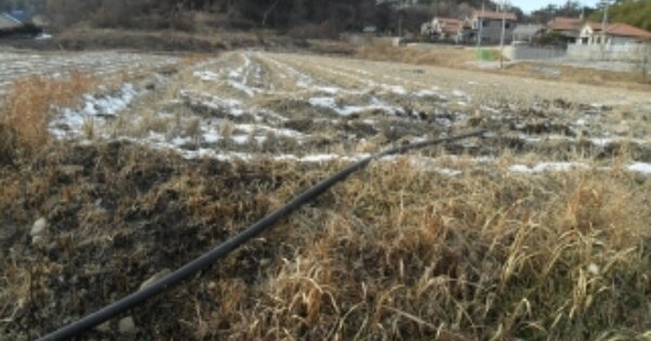 충청남도 서산시 인지면 남정리 OOOOO 답 경매 물건 이미지