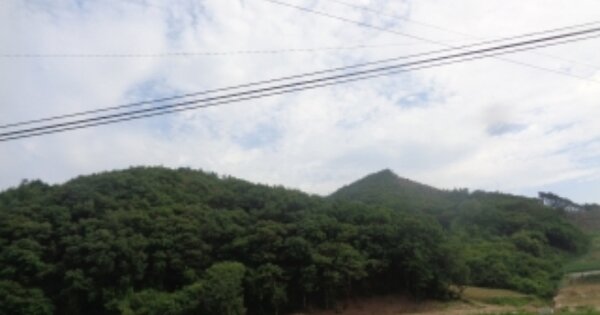 충청북도 괴산군 소수면 소암리 OOO O OOO 임야 경매 물건 이미지