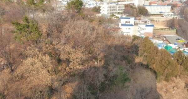 부산광역시 서구 암남동 OOOO 전 경매 물건 이미지