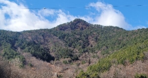 경상남도 통영시 광도면 안정리 OOOOOO 임야 경매 물건 이미지