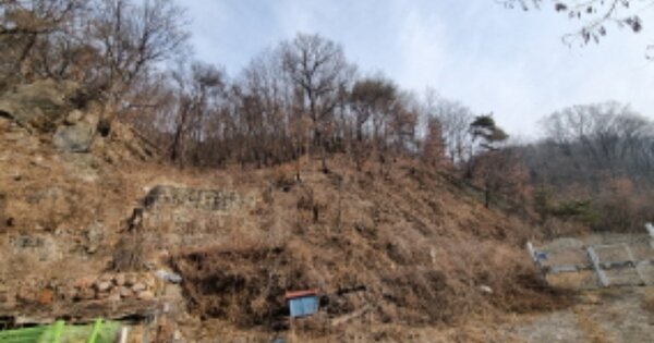 경기도 가평군 청평면 삼회리 OOOOO 임야 경매 물건 이미지