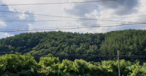 경상남도 합천군 쌍백면 운곡리 OOOOO 임야 경매 물건 이미지