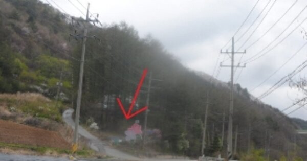 강원도 평창군 봉평면 유포리 OOOO 임야 경매 물건 이미지