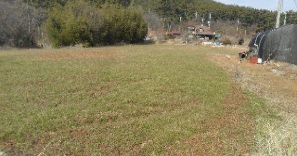 충청남도 태안군 근흥면 용신리 OOOOO 임야 경매 물건 이미지