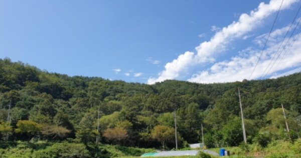 경상남도 거창군 남하면 지산리 OOOO 임야 경매 물건 이미지