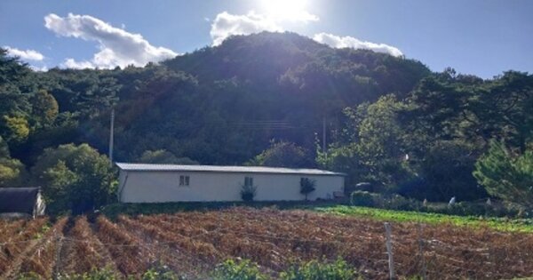 충청남도 청양군 청양읍 군량리 OOO 임야 경매 물건 이미지