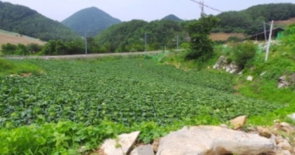 강원특별자치도 정선군 신동읍 방제리 OOOO 전 경매 물건 이미지