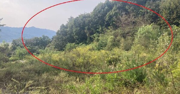 충청북도 제천시 백운면 방학리 OOOOO 임야 경매 물건 이미지