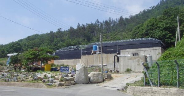 전남 진도군 고군면 향동리 OOOOO O OOO 단독주택 경매 물건 이미지
