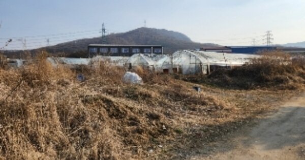 경기도 양주시 백석읍 방성리 OOO 답 경매 물건 이미지