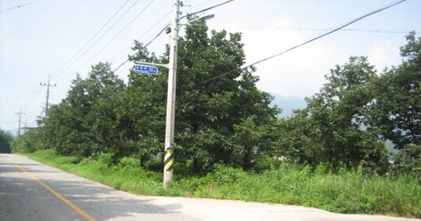 경상북도 상주시 낙동면 상촌리 OOOOOO 전 경매 물건 이미지