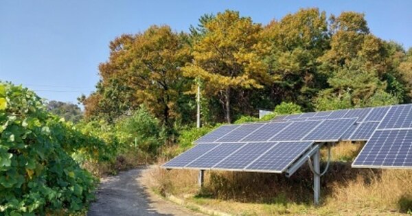 충청남도 공주시 탄천면 남산리 OOOOO 임야 경매 물건 이미지