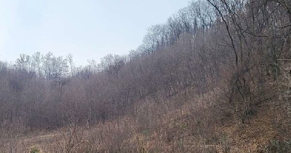 충청북도 청주시 상당구 남일면 송암리 OOOOOO 임야 경매 물건 이미지