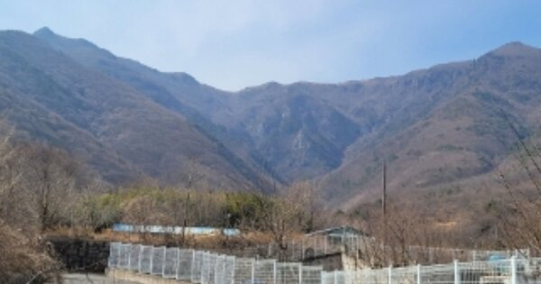 울산광역시 울주군 삼남읍 가천리 OOOOOO O OOO 임야 경매 물건 이미지