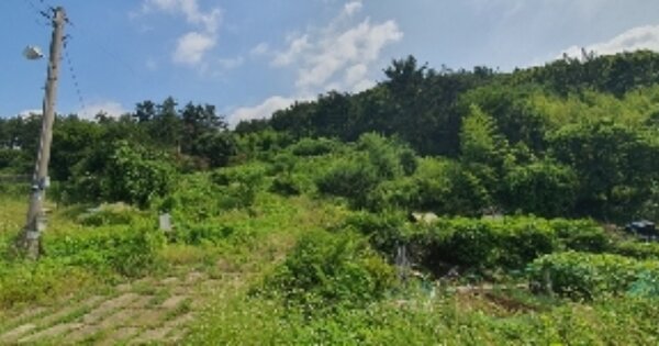 경상남도 창원시 마산회원구 회성동 OOO O OOO 답 경매 물건 이미지
