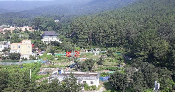 경상남도 창원시 마산합포구 자산동 OOOOO O OOO 답 경매 물건 이미지