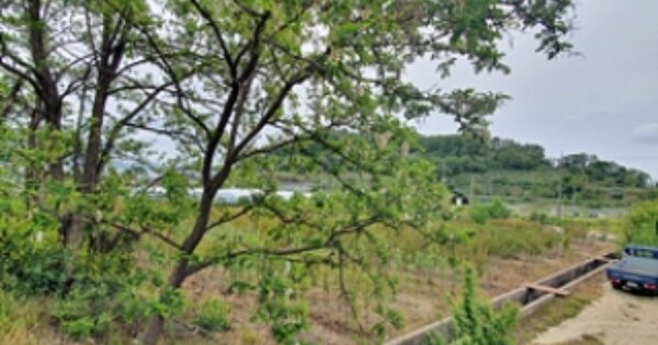 경상남도 김해시 대동면 초정리 OOO 답 경매 물건 이미지