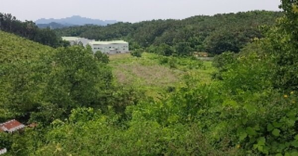 경상남도 함안군 군북면 월촌리 OOO O OOO 답 경매 물건 이미지
