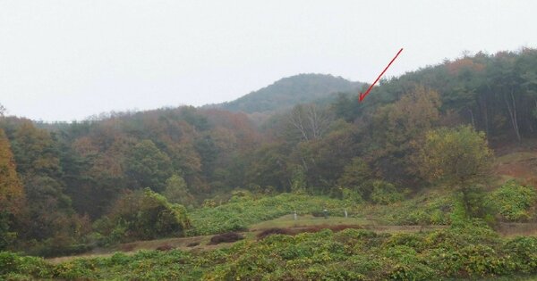 경기도 안성시 금광면 사흥리 OOOOO 임야 경매 물건 이미지