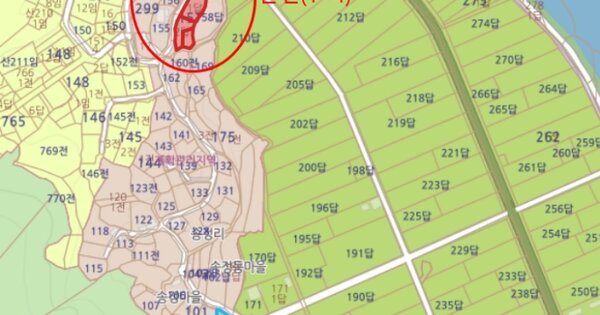 경상북도 경주시 양남면 환서리 OOO O OOO 답 경매 물건 이미지