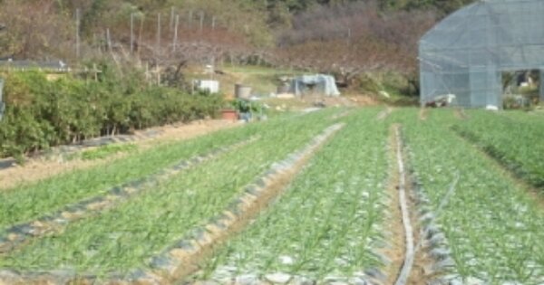 경상남도 창녕군 대합면 대동리 OOOOO 전 경매 물건 이미지