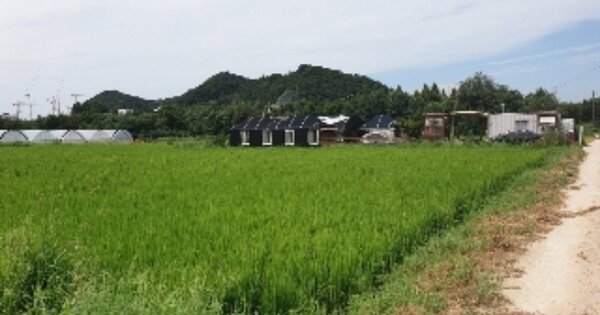 충청북도 음성군 금왕읍 정생리 OOO 답 경매 물건 이미지