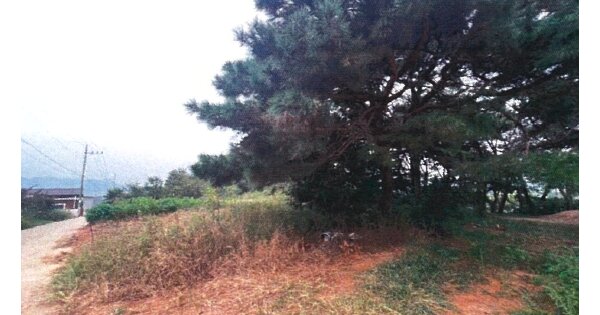 경상북도 김천시 아포읍 의리 OOOOO 임야 경매 물건 이미지