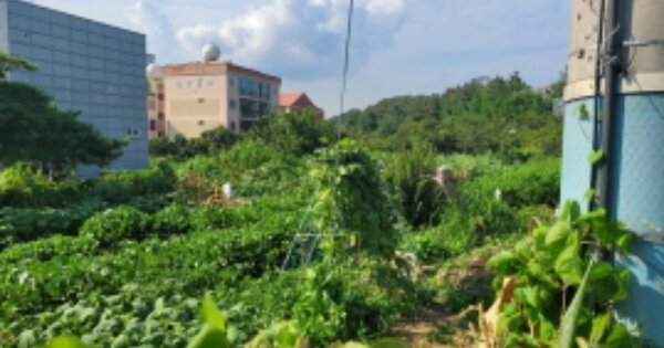 경상북도 포항시 남구 오천읍 용덕리 OOOO 전 경매 물건 이미지
