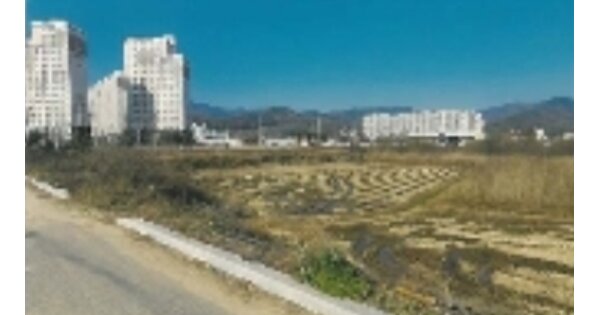 경상북도 구미시 선산읍 교리 OOO 답 경매 물건 이미지
