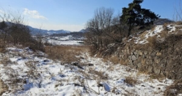 충청북도 음성군 원남면 보룡리 OOOO 전 경매 물건 이미지