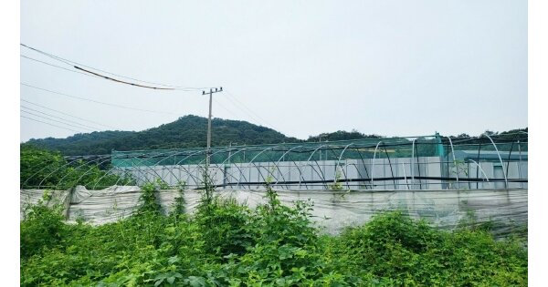 경기도 시흥시 목감동 OOO 전 경매 물건 이미지